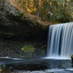 Photo Beaver dam